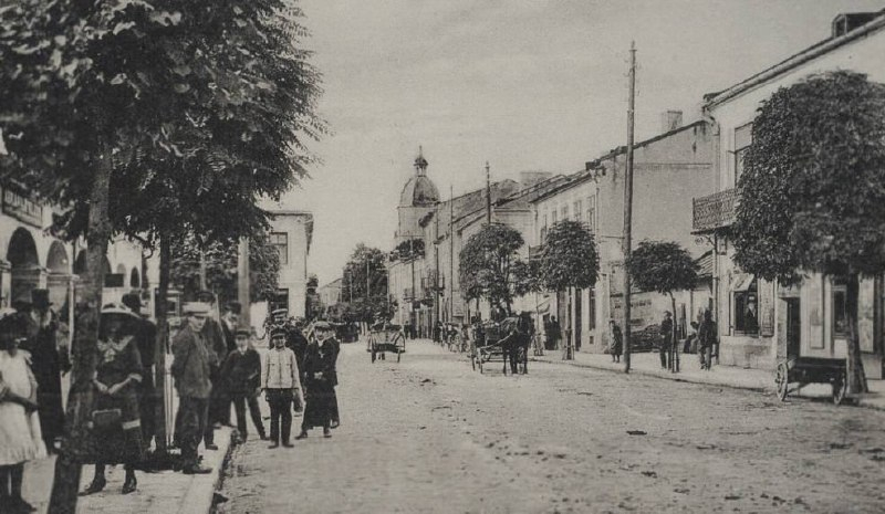Виноградники у Бродах: як португалець створив унікальний сад на Львівщині