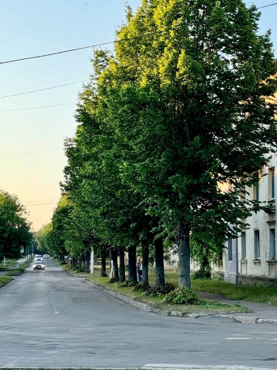 232 чоловіки померли від серця: тривожна статистика Шептицької громади